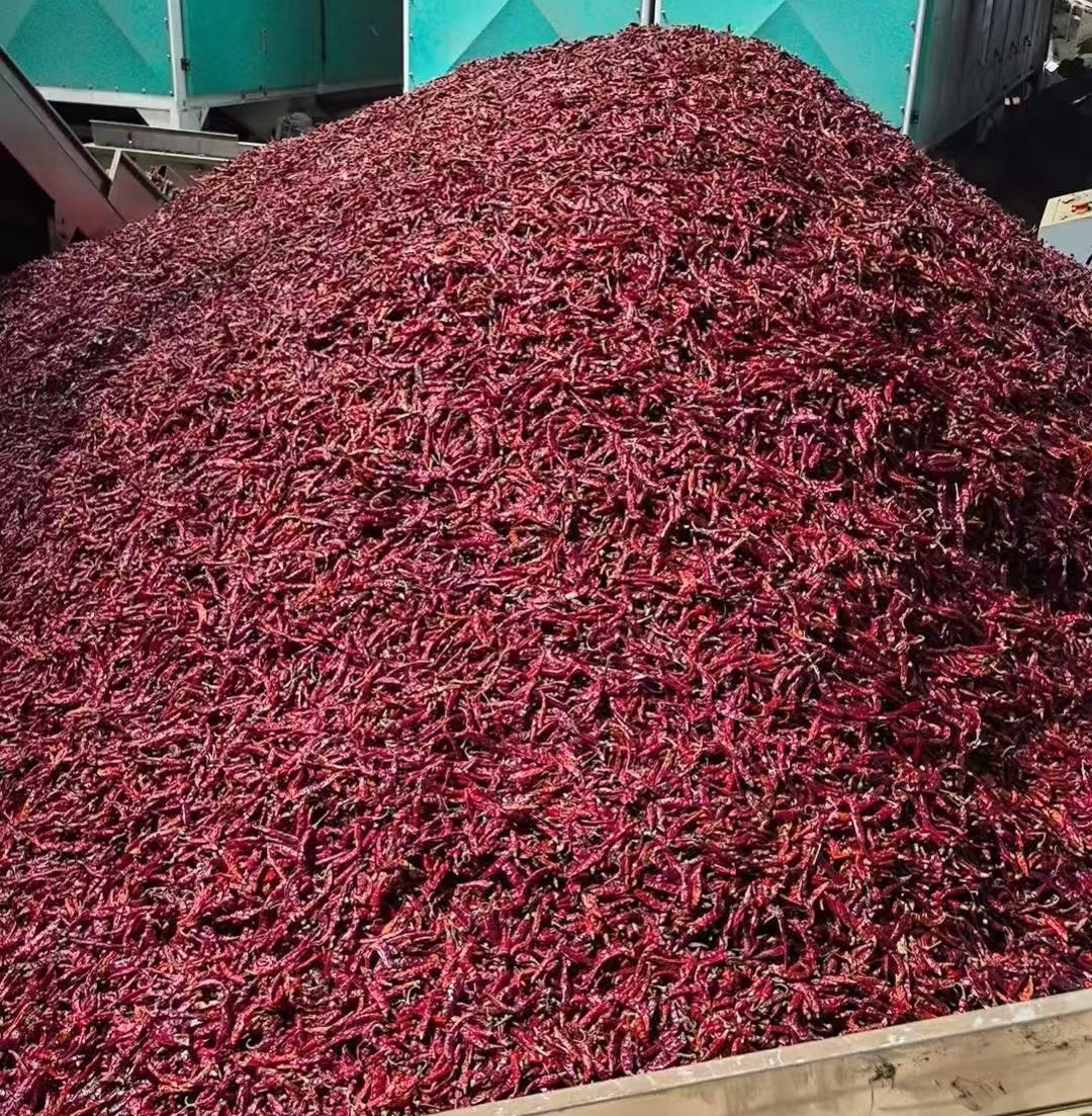 S17 High-spicy Chili