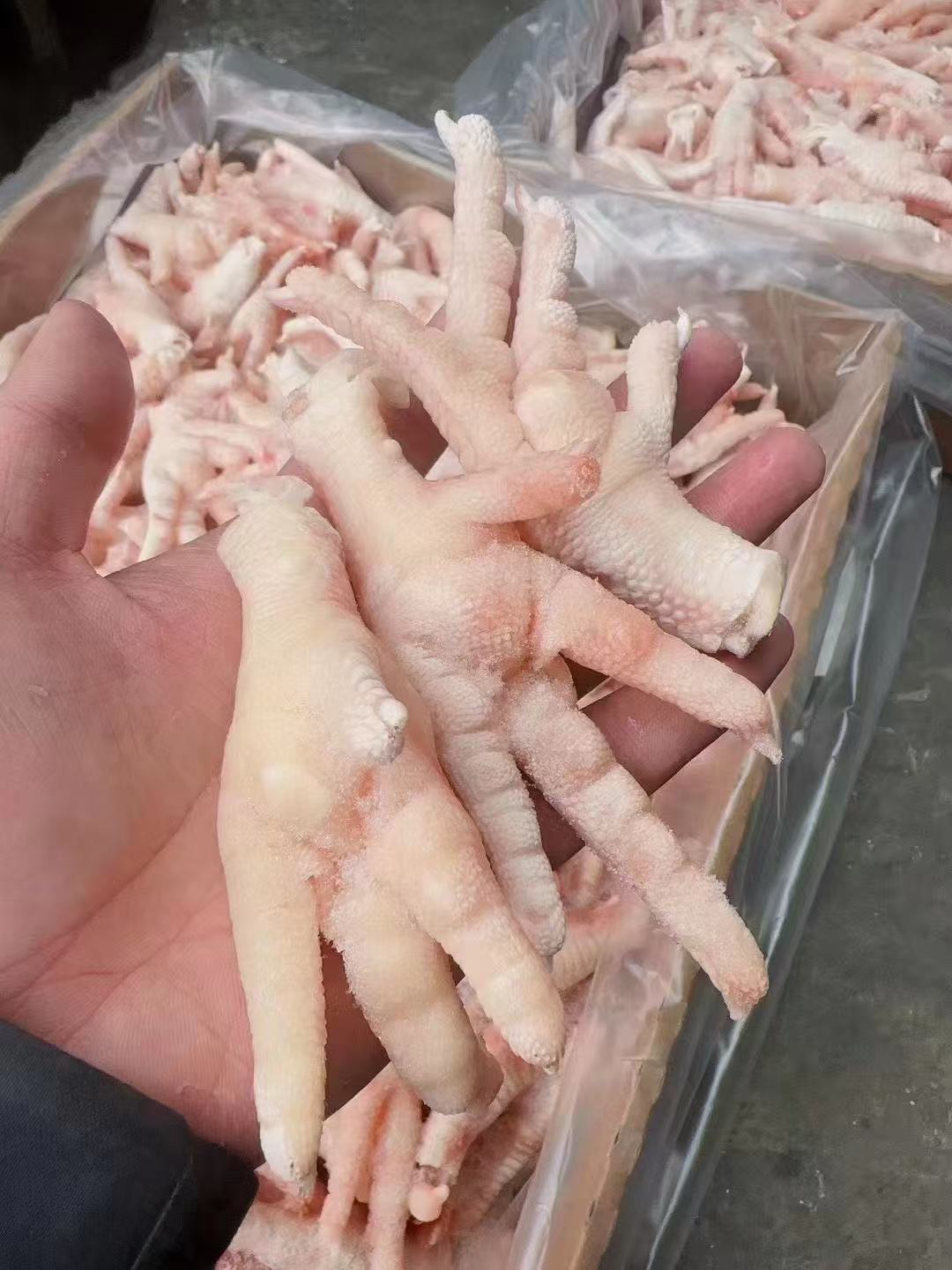 Chicken Feet Product